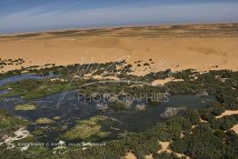 Image du Maroc Professionnelle de  Vue aérienne de la partie stagnante de la Sakia Al Hamra au environ de Laayoune où des oiseaux migrateurs comme les flamants roses trouvent refuge et repos durant leur voyage selon la saison, le 9 Avril 2010. (Photo / Abdeljalil Bounhar)


 